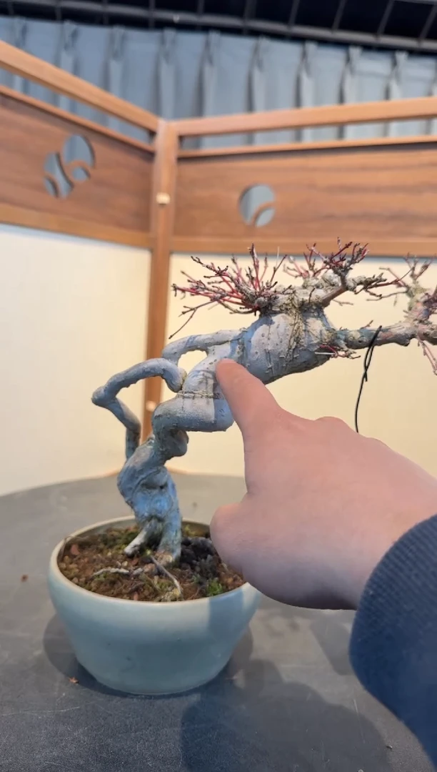 【闪购商品】嘻嘻嘻U5珊瑚格