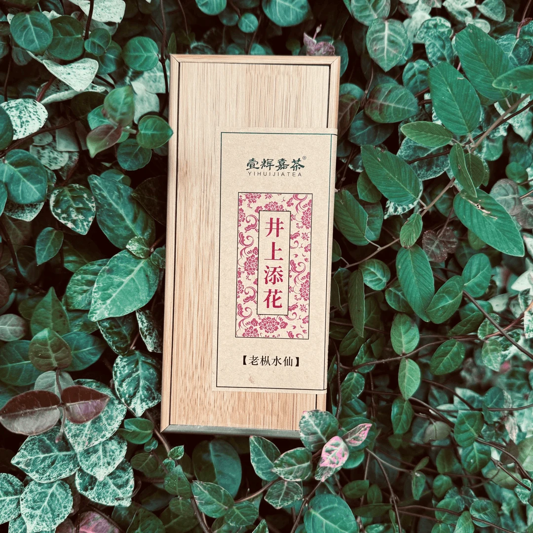 【壹辉嘉茶】井上添花