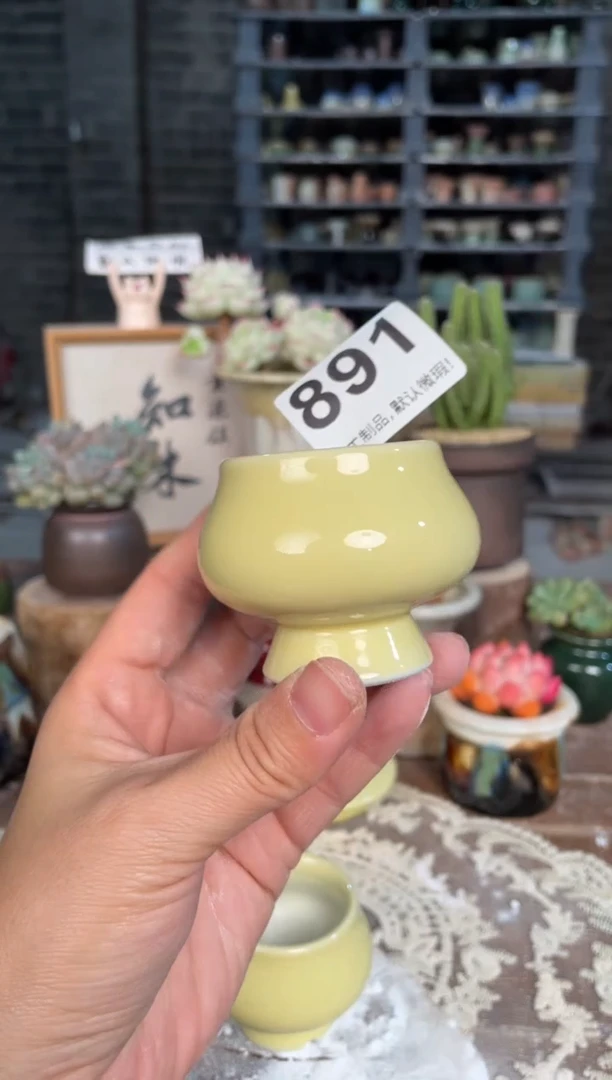 瓷片891小芳直播编号
