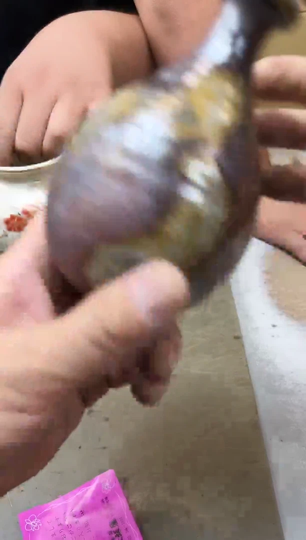 瓷片252 聚宝缘海陶精选