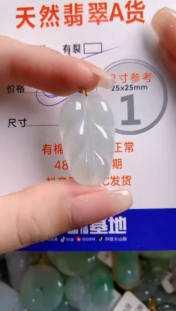 翡翠18K金镶嵌颈饰24001493
