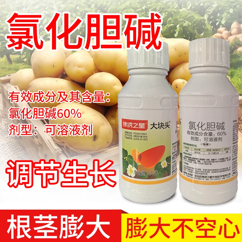大块头60%氯化胆碱植物生长调节剂马铃薯土豆膨大地下块根块茎