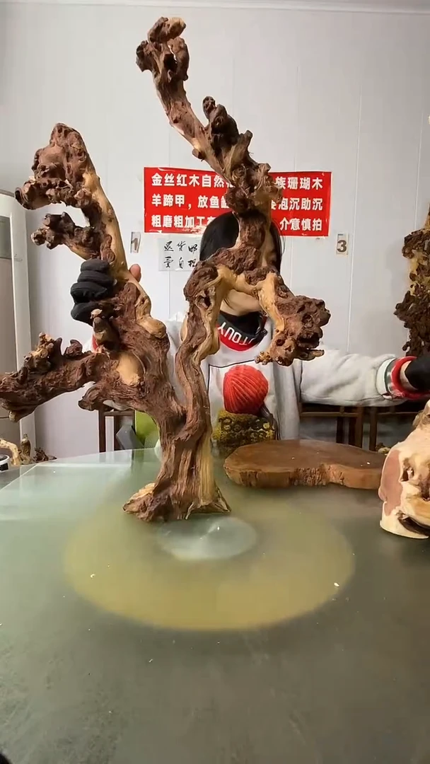 木用****4金丝红木  羊蹄甲