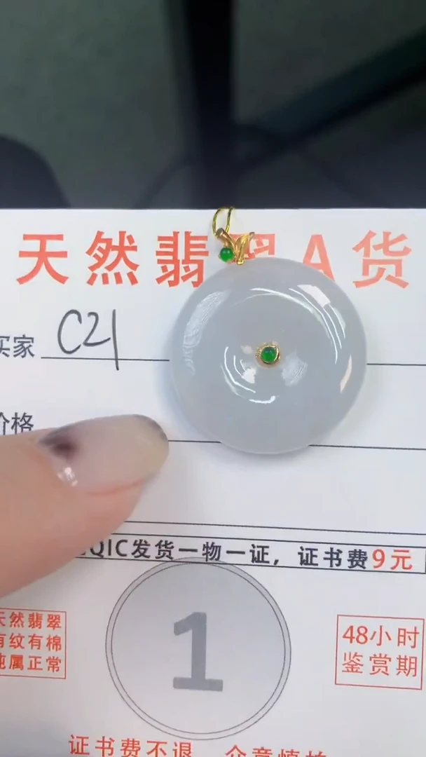 颈饰未镶嵌翡翠天然A货翡翠挂件