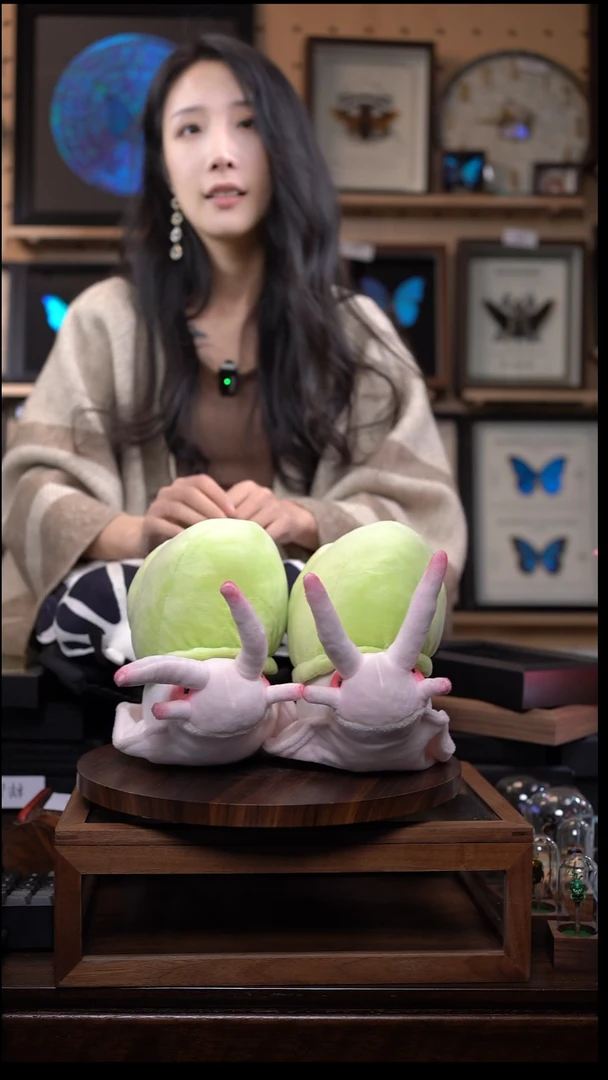 青山蜗牛毛绒公仔