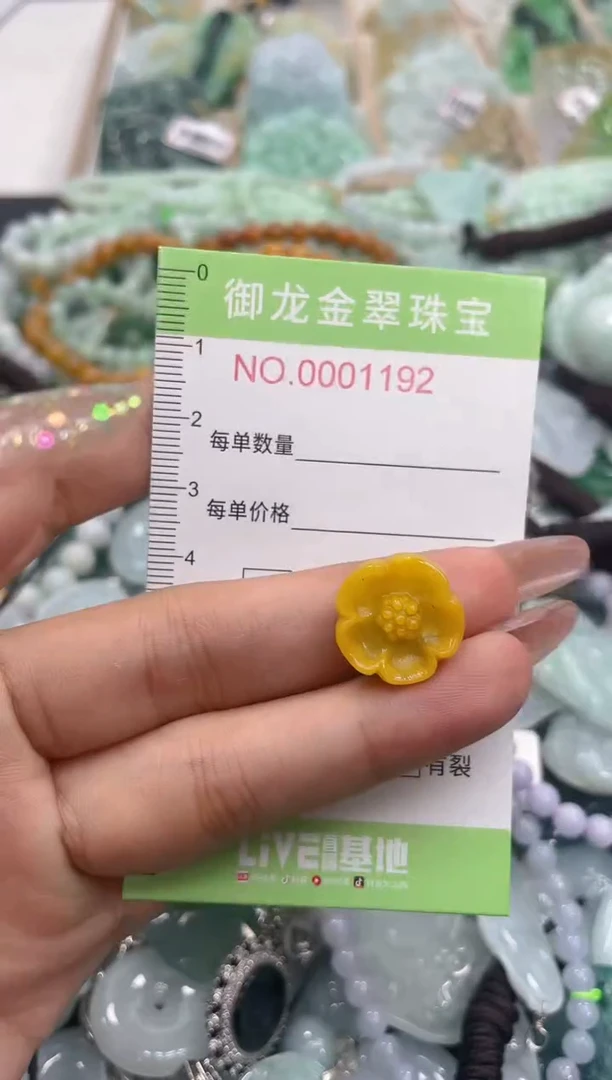 颈饰未镶嵌翡翠091