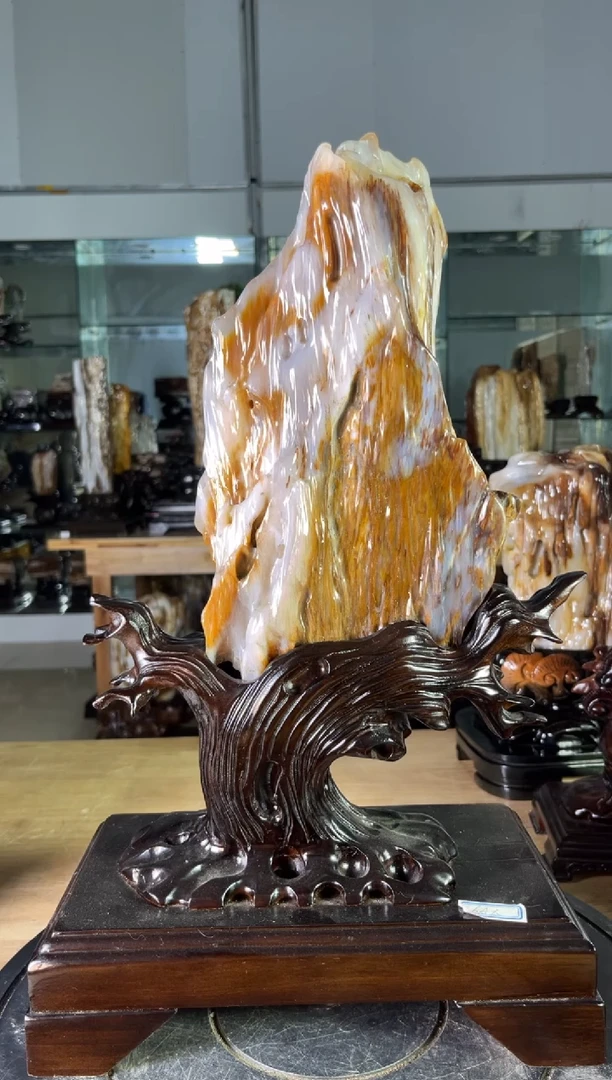 【闪购商品】硅化玉珠宝奇石未镶嵌1