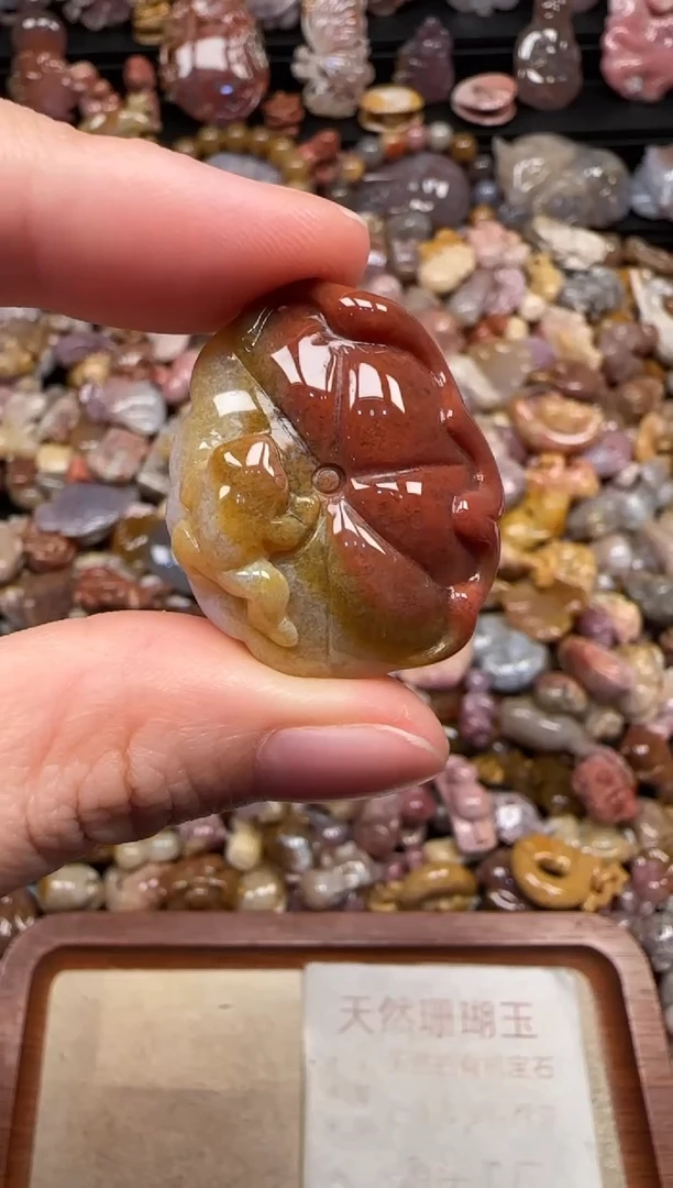 颈饰未镶嵌硅化珊瑚（珊瑚玉）198