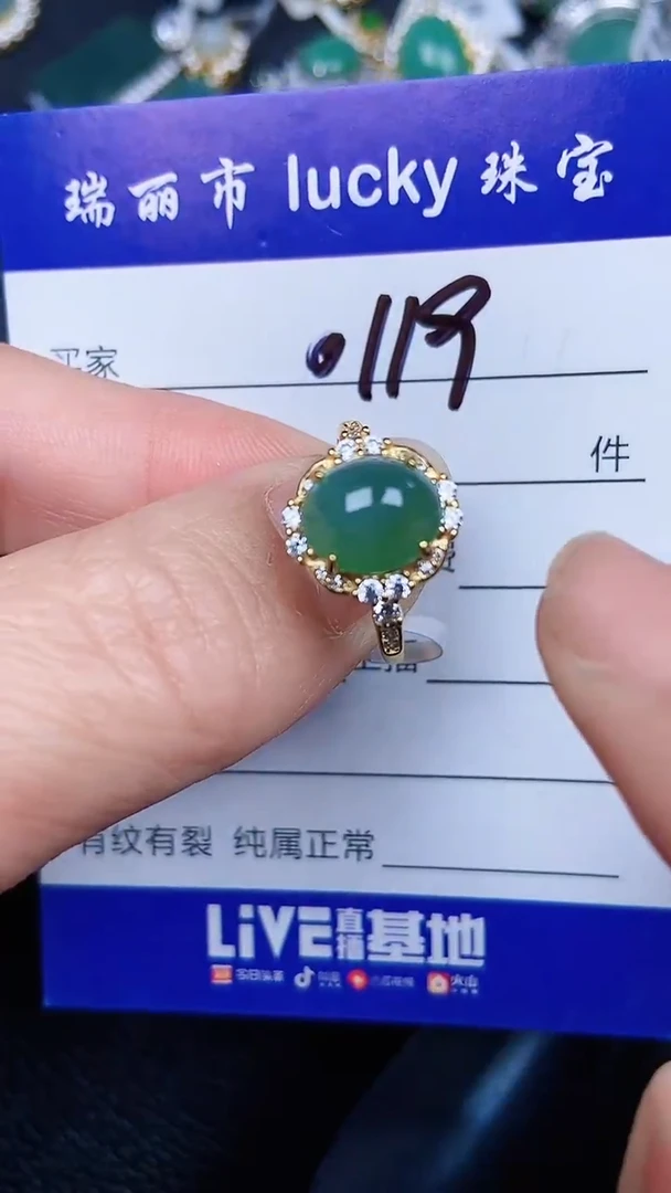 颈饰银S925镶嵌翡翠0119