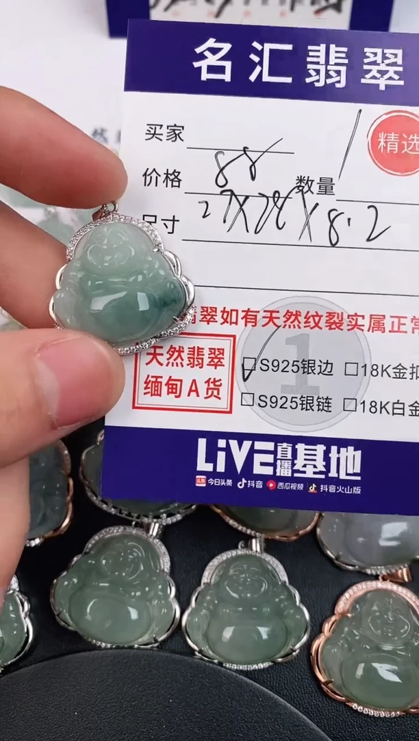 翡翠银S925镶嵌颈饰·