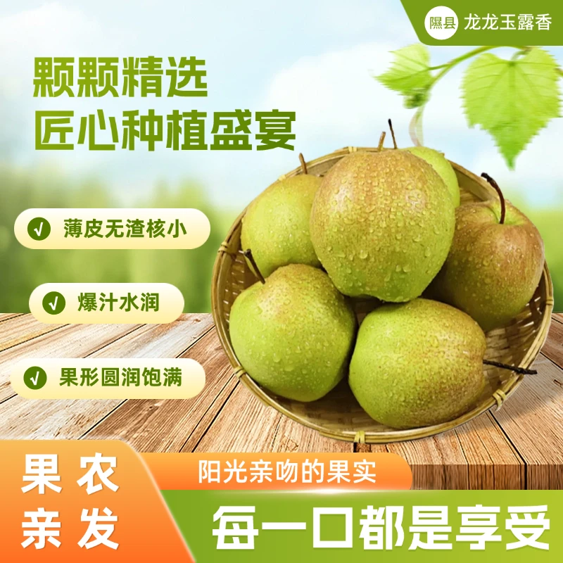 顺丰发货脆甜多汁山西.隰县玉露香梨  水大皮薄小西天