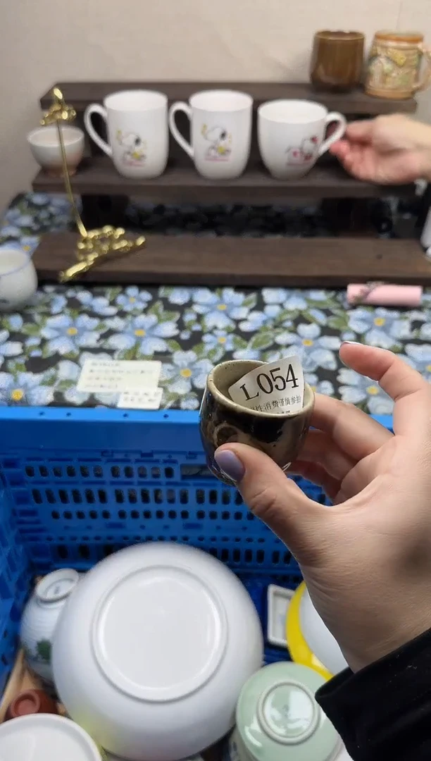 瓷片4**.                L054