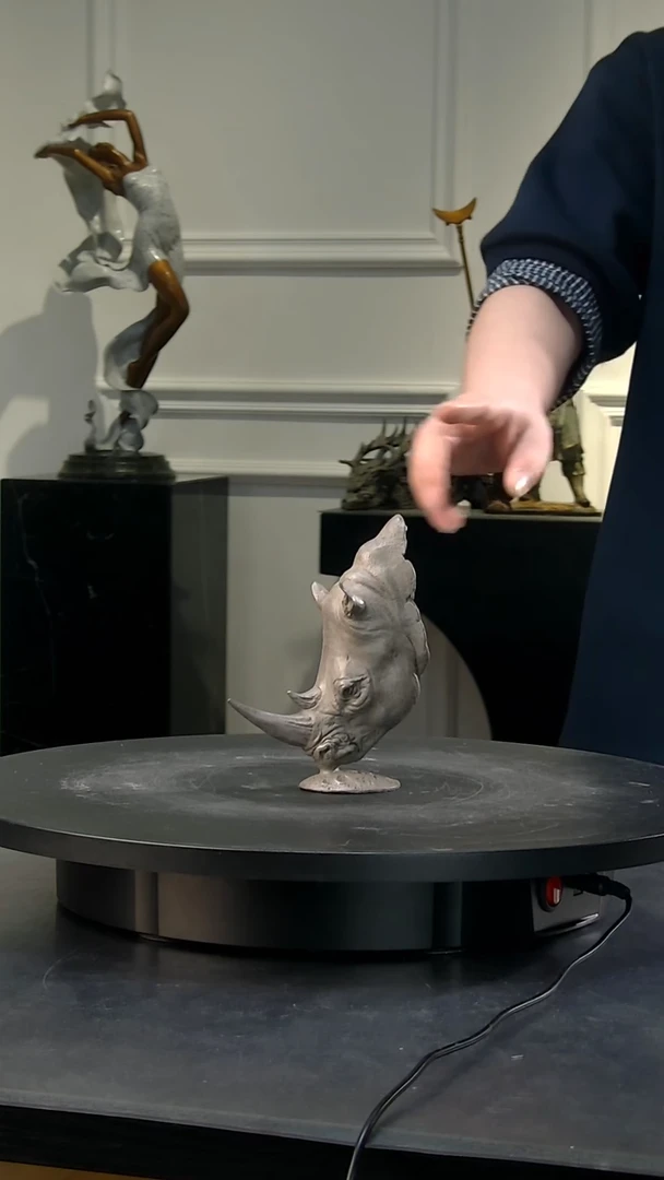 【闪购商品】铜犀变