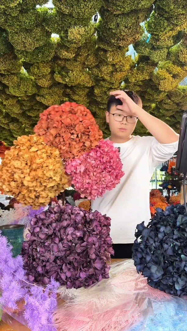 161  山前小麦荷兰进口永生 大叶绣球  3枝（橙色/粉色/复古红）