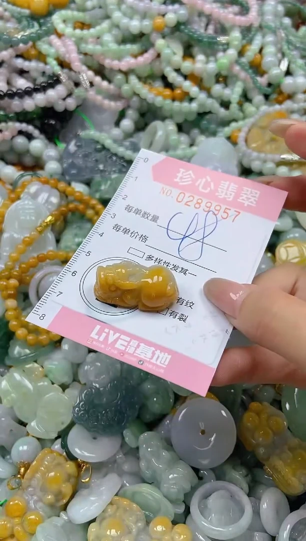 翡翠未镶嵌颈饰闪购0289957