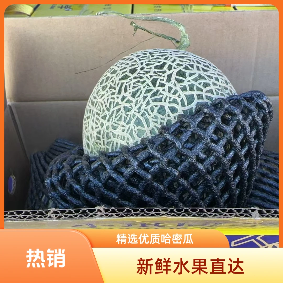 网纹瓜2粒装  4到4.5斤净重（±2）