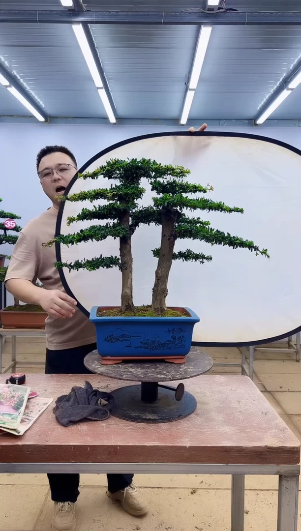 无花朵一物一拍，所见即所得
