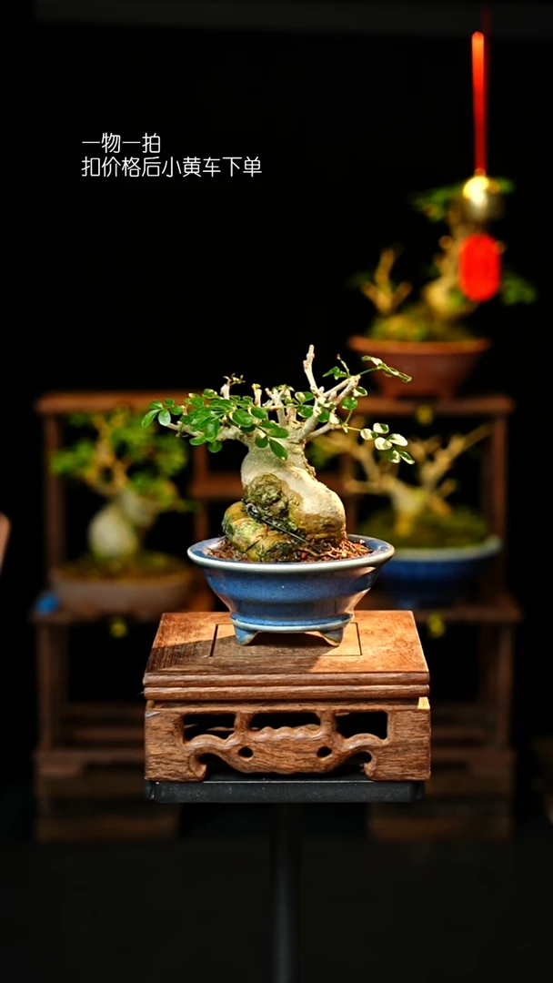 无花朵以实际为准