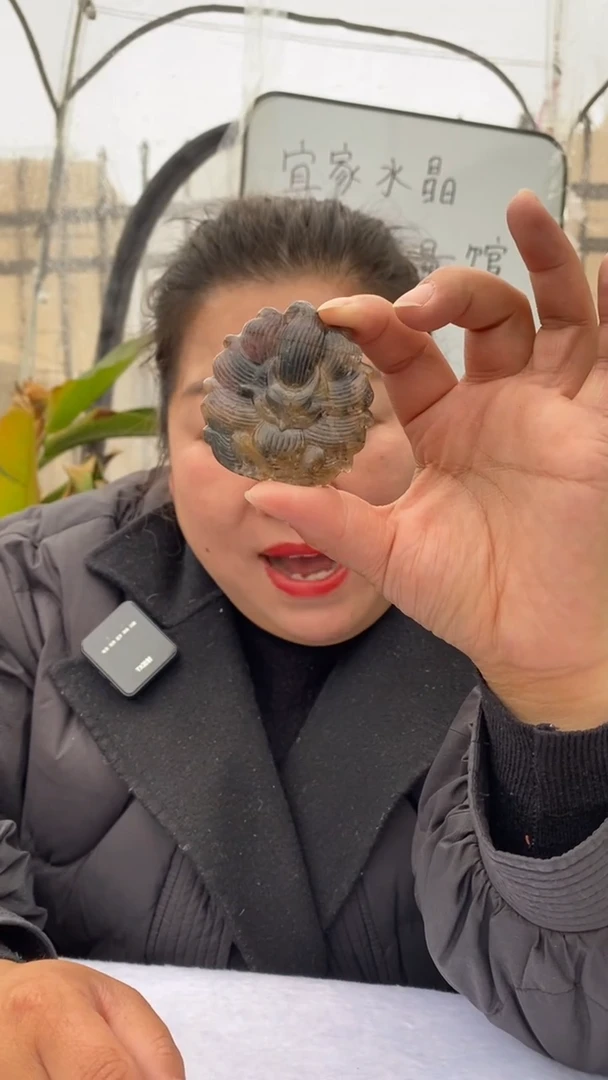 【闪购商品】水晶吊坠未镶嵌极光23狐牌D865