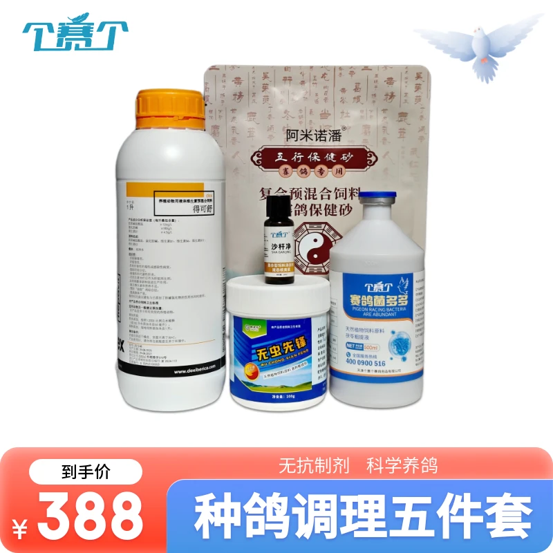 个赛个新品种鸽调理五件套赛鸽信鸽种鸽