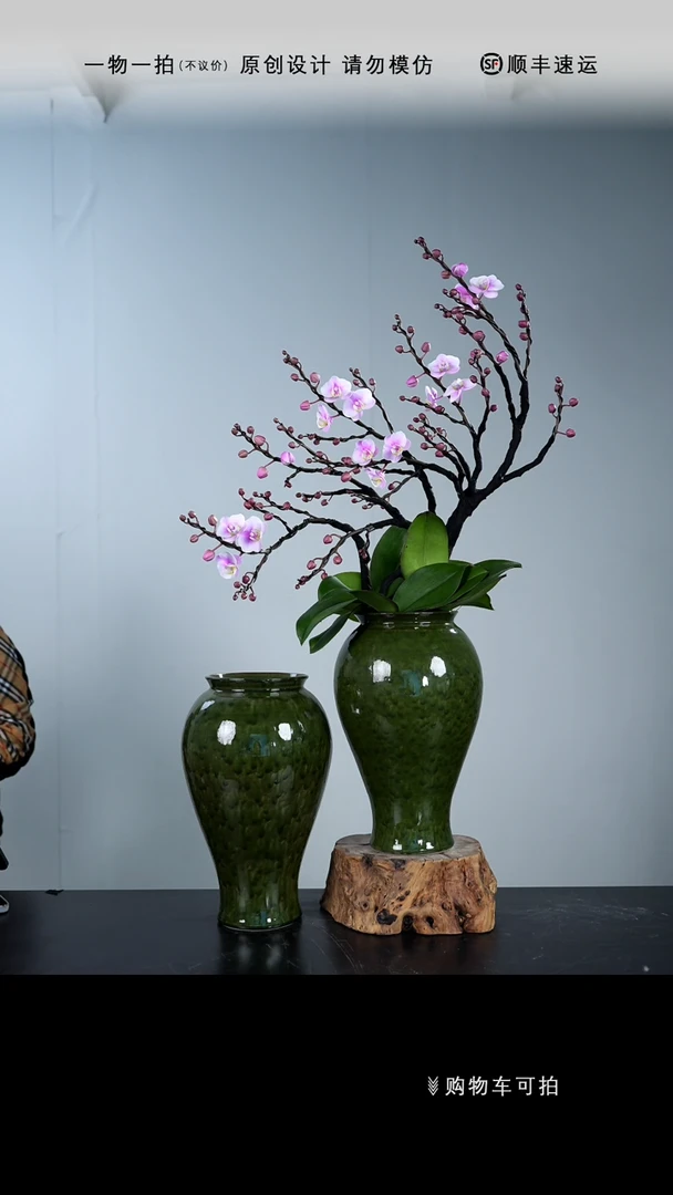 【闪购商品】【一物一拍】艺术盆景