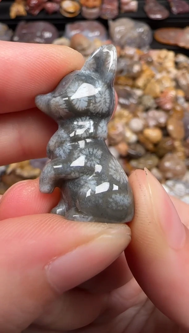 硅化珊瑚（珊瑚玉）未镶嵌颈饰767