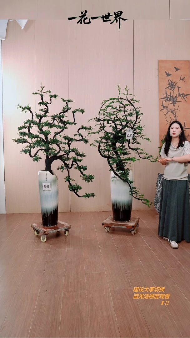 无花朵和**修08号链接