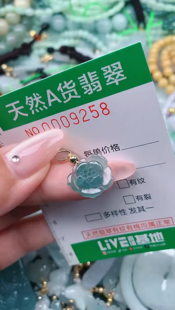 翡翠未镶嵌颈饰.0009258
