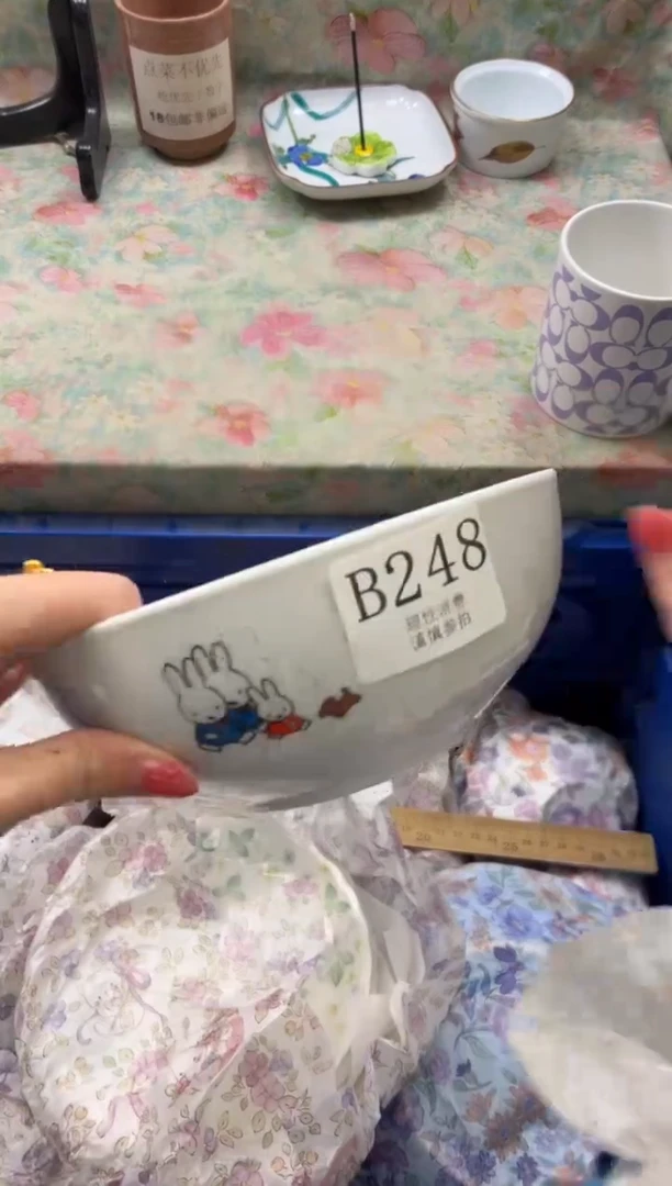 瓷片S*?       B248