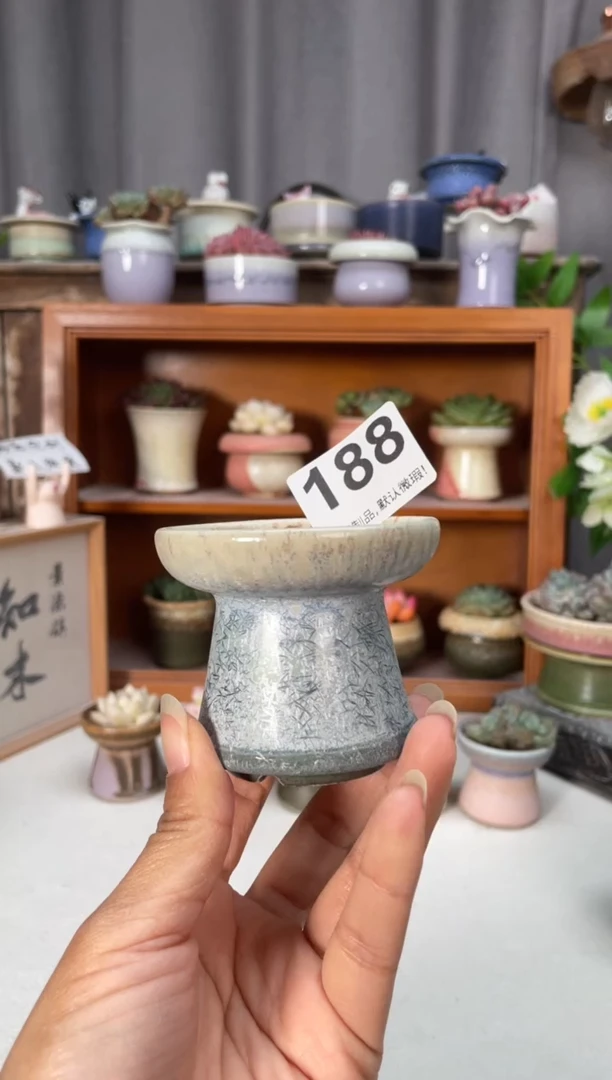 瓷片188知木小芳花盆编号