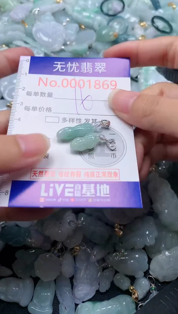 颈饰未镶嵌翡翠1869