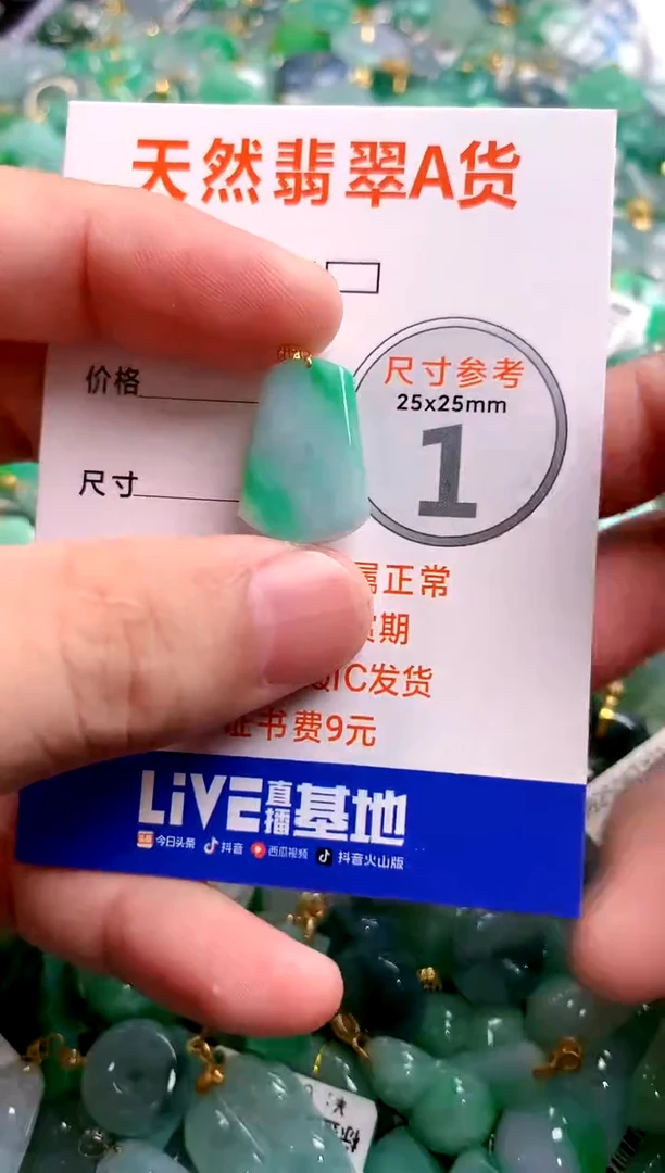 颈饰18K金镶嵌翡翠0667675041