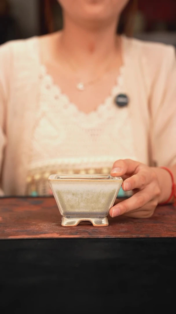 6-18-254花盆口径7