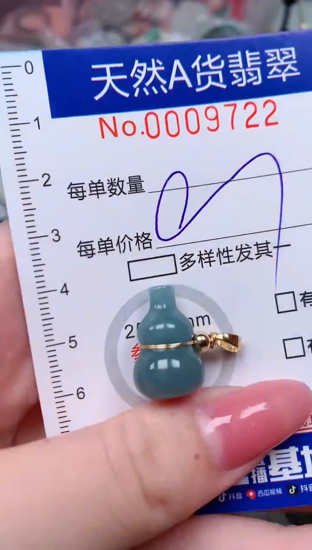 【闪购商品】翡翠颈饰未镶嵌00009722