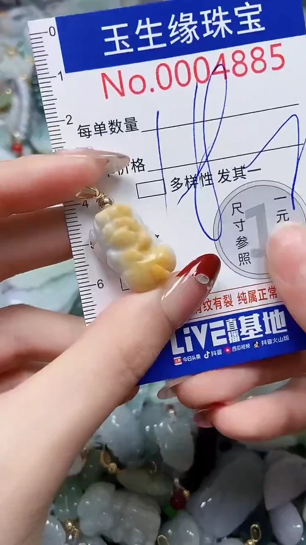 【闪购商品】翡翠颈饰未镶嵌闪购00004885