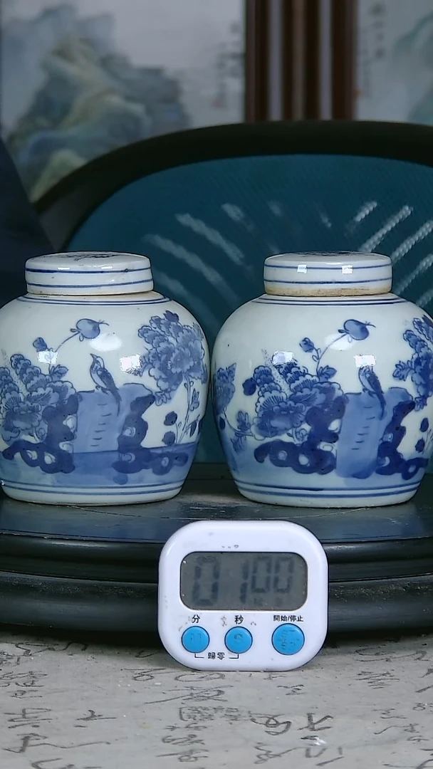 陶青*青花精绘花鸟图罐一对