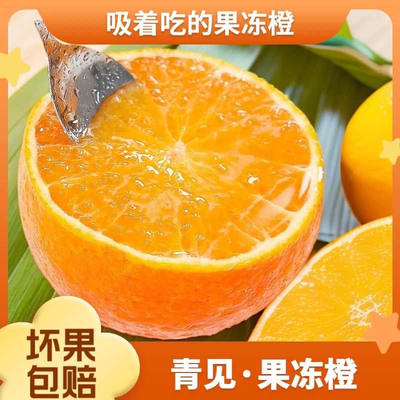 *吸着吃的果冻橙*~四川蒲江原产地直发~新鲜水果~带枝带叶采摘