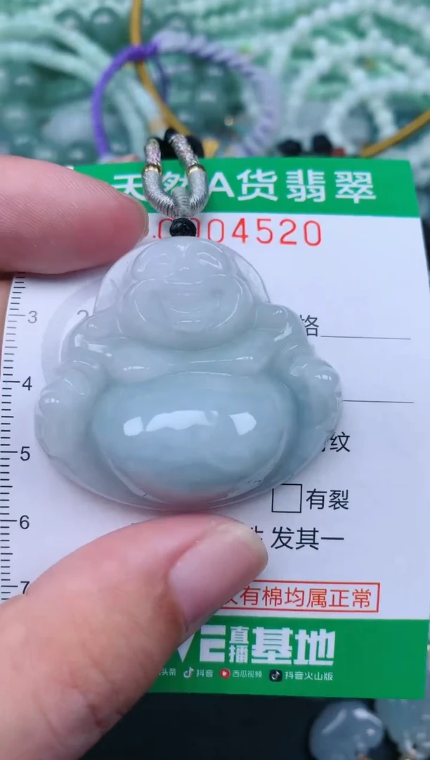 翡翠未镶嵌颈饰.0004520