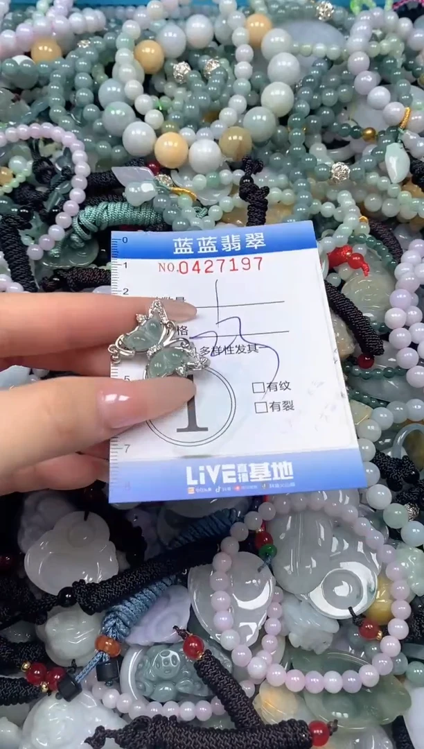 颈饰未镶嵌翡翠闪购0427197