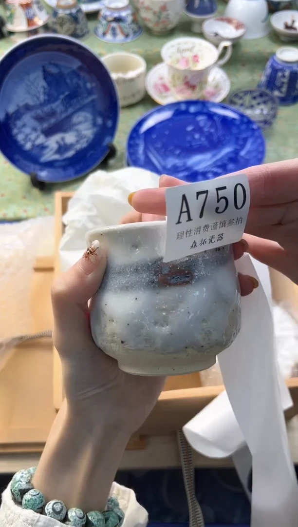 【闪购商品】瓷片          A750