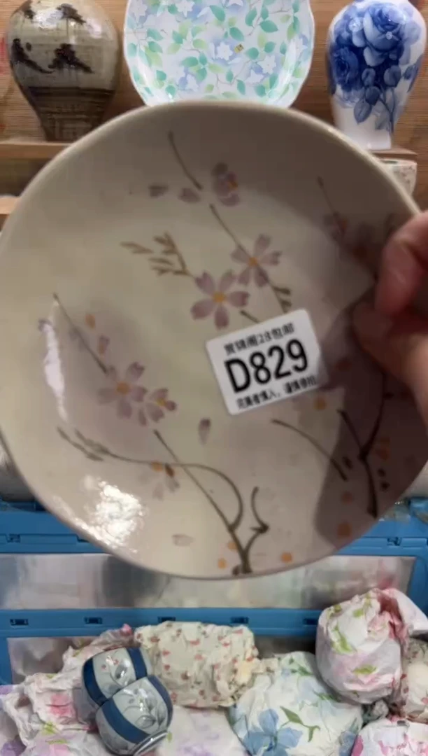 瓷片s****g      D829