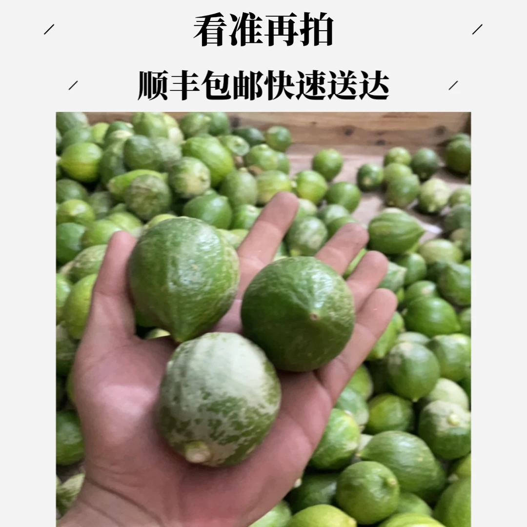 顺丰包邮广东香水柠檬现摘现发新鲜花皮特价果奶茶店专用大果批发