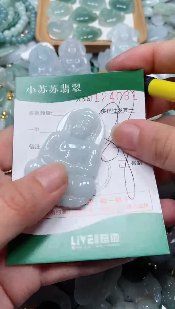 【闪购商品】翡翠颈饰未镶嵌闪购商品0124081