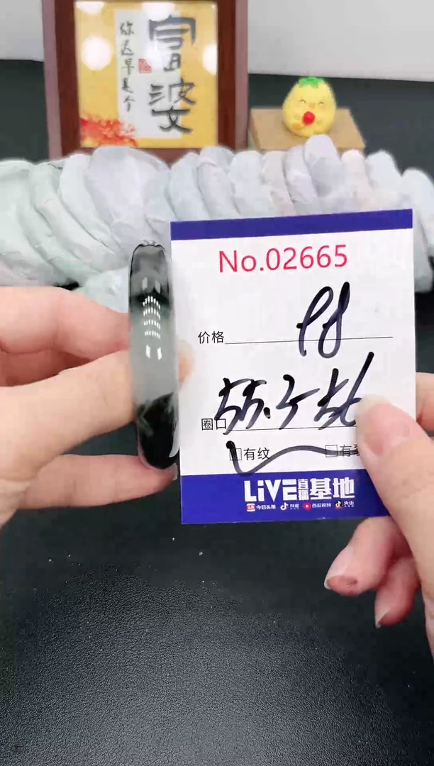 未镶嵌手镯翡翠2665