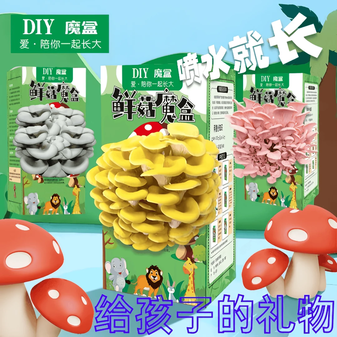 【有趣的蘑菇盒】DIY魔盒蘑菇亲子DIY家庭种植蘑菇菌包蘑菇盒1.2KG