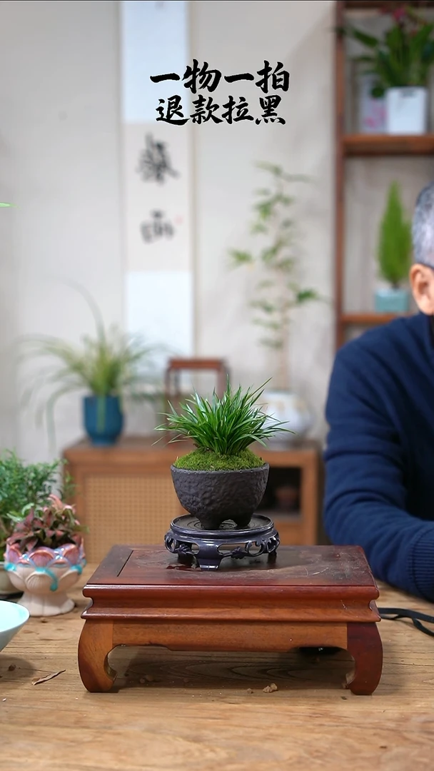 完全开放惜*菖蒲890