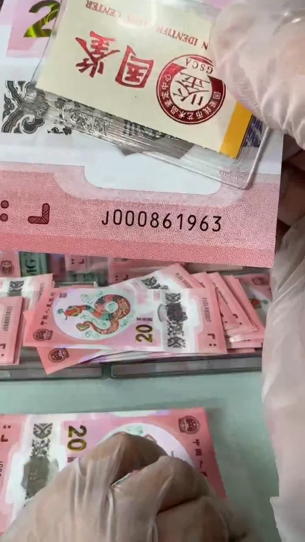 【闪购商品】塑料000861963蛇钞单张