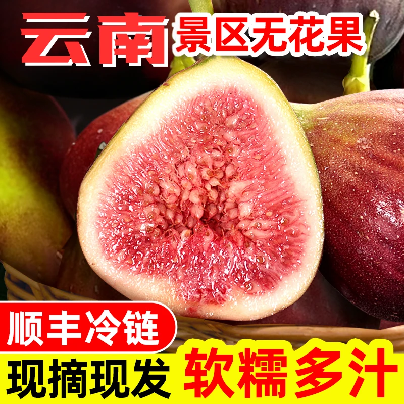 【发哥甄选】云南红皮无花果新鲜水果现摘现发树上熟当季水果顺丰