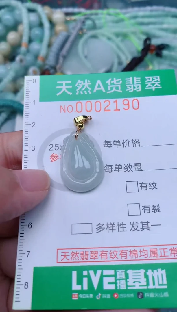 翡翠未镶嵌颈饰.0002190