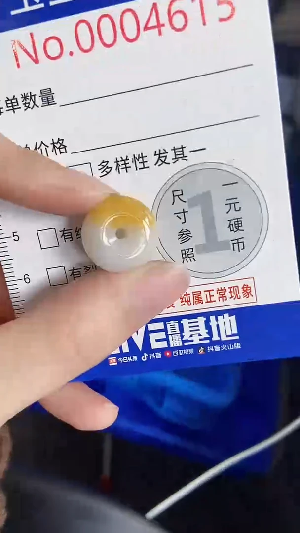 【闪购商品】翡翠颈饰未镶嵌闪购00004615